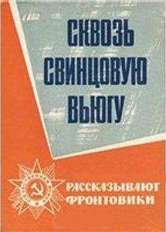 Николай Пустынцев - Сквозь свинцовую вьюгу - Читать Читать онлайн Читаемые книги читать онлайн бесплатно booksread-online.com