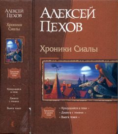 Алексей Пехов - Хроники Сиалы: Крадущийся в тени. Джанга с тенями. Вьюга теней - Читать 📖 Читать онлайн 👀 Читаемые книги читать онлайн бесплатно 🔥 booksread-online.com