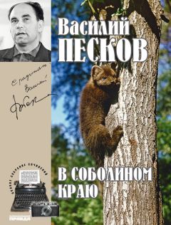 Василий Песков - Полное собрание сочинений. Том 1. В соболином краю - Читать 📖 Читать онлайн 👀 Читаемые книги читать онлайн бесплатно 🔥 booksread-online.com