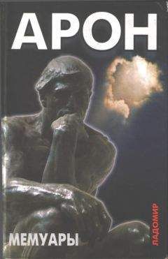 Раймон Арон - Мемуары. 50 лет размышлений о политике - Читать Читать онлайн Читаемые книги читать онлайн бесплатно booksread-online.com