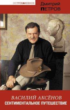 Дмитрий Петров - Василий Аксенов. Сентиментальное путешествие - Читать 📖 Читать онлайн 👀 Читаемые книги читать онлайн бесплатно 🔥 booksread-online.com