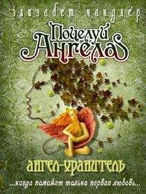 Элизабет Чандлер - Ангел-хранитель - Читать 📖 Читать онлайн 👀 Читаемые книги читать онлайн бесплатно 🔥 booksread-online.com