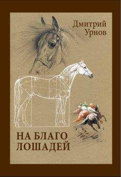 Дмитрий Урнов - На благо лошадей. Очерки иппические - Читать 📖 Читать онлайн 👀 Читаемые книги читать онлайн бесплатно 🔥 booksread-online.com