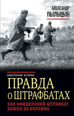 Александр Пыльцын - Правда о штрафбатах. Как офицерский штрафбат дошел до Берлина - Читать | Читать онлайн | Читаемые книги читать онлайн бесплатно | booksread-online.com