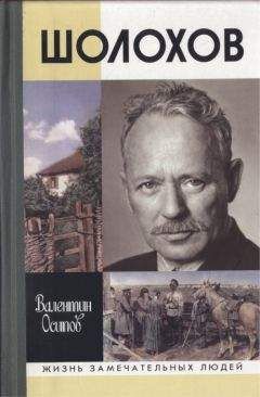 Валентин Осипов - Шолохов - Читать Читать онлайн Читаемые книги читать онлайн бесплатно booksread-online.com