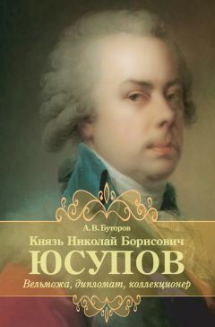 Алексей Буторов - Князь Николай Борисович Юсупов. Вельможа, дипломат, коллекционер - Читать 📖 Читать онлайн 👀 Читаемые книги читать онлайн бесплатно 🔥 booksread-online.com