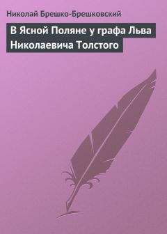 Николай Брешко-Брешковский - В Ясной Поляне у графа Льва Николаевича Толстого - Читать 📖 Читать онлайн 👀 Читаемые книги читать онлайн бесплатно 🔥 booksread-online.com