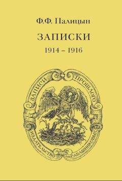 Федор Палицын - Записки. Том I. Северо-Западный фронт и Кавказ (1914 – 1916) - Читать 📖 Читать онлайн 👀 Читаемые книги читать онлайн бесплатно 🔥 booksread-online.com