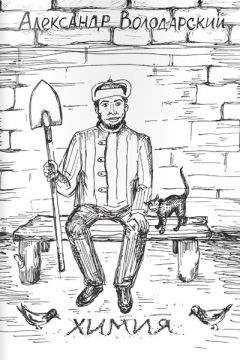 Александр Володарский - Химия - Читать Читать онлайн Читаемые книги читать онлайн бесплатно booksread-online.com