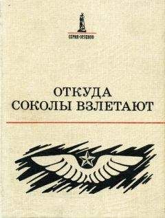 Николай Галкин - Откуда соколы взлетают - Читать | Читать онлайн | Читаемые книги читать онлайн бесплатно | booksread-online.com
