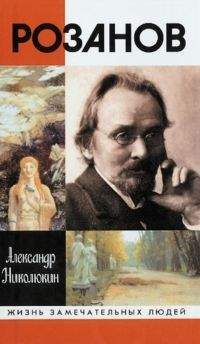 Александр Николюкин - Розанов - Читать | Читать онлайн | Читаемые книги читать онлайн бесплатно | booksread-online.com