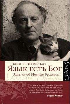Бенгт Янгфельдт - Язык есть Бог. Заметки об Иосифе Бродском [с иллюстрациями] - Читать 📖 Читать онлайн 👀 Читаемые книги читать онлайн бесплатно 🔥 booksread-online.com