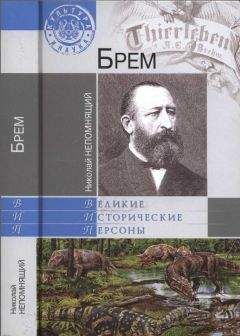 Николай Непомнящий - Брем - Читать 📖 Читать онлайн 👀 Читаемые книги читать онлайн бесплатно 🔥 booksread-online.com