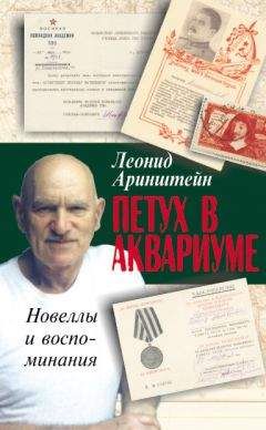 Леонид Аринштейн - Петух в аквариуме – 2, или Как я провел XX век. Новеллы и воспоминания - Читать 📖 Читать онлайн 👀 Читаемые книги читать онлайн бесплатно 🔥 booksread-online.com