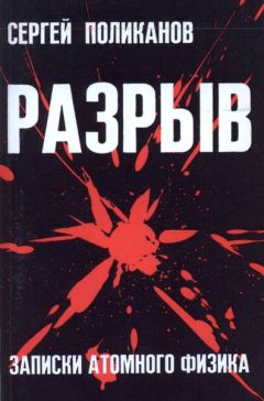 Сергей Поликанов - Разрыв. Записки атомного физика - Читать Читать онлайн Читаемые книги читать онлайн бесплатно booksread-online.com
