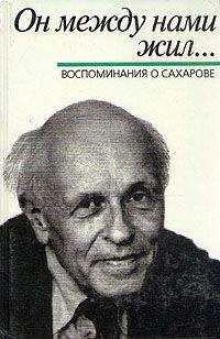 Борис Альтшулер - Он между нами жил... Воспомнинания о Сахарове (сборник под ред. Б.Л.Альтшуллера) - Читать Читать онлайн Читаемые книги читать онлайн бесплатно booksread-online.com
