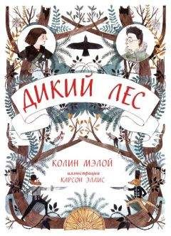 Колин Мэлой - Дикий лес - Читать | Читать онлайн | Читаемые книги читать онлайн бесплатно | booksread-online.com