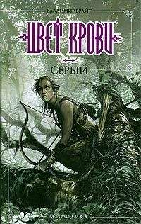 Владимир Брайт - Цвет крови - серый - Читать 📖 Читать онлайн 👀 Читаемые книги читать онлайн бесплатно 🔥 booksread-online.com