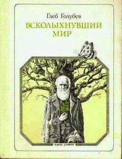 Глеб Голубев - Всколыхнувший мир - Читать 📖 Читать онлайн 👀 Читаемые книги читать онлайн бесплатно 🔥 booksread-online.com