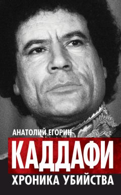 Анатолий Егорин - Каддафи. Хроника убийства - Читать 📖 Читать онлайн 👀 Читаемые книги читать онлайн бесплатно 🔥 booksread-online.com