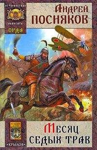 Андрей Посняков - Месяц Седых трав - Читать 📖 Читать онлайн 👀 Читаемые книги читать онлайн бесплатно 🔥 booksread-online.com