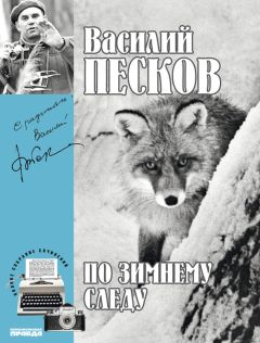 Василий Песков - Полное собрание сочинений. Том 7. По зимнему следу - Читать 📖 Читать онлайн 👀 Читаемые книги читать онлайн бесплатно 🔥 booksread-online.com