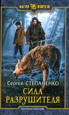 Сергей Степаненко - Сила Разрушителя - Читать | Читать онлайн | Читаемые книги читать онлайн бесплатно | booksread-online.com