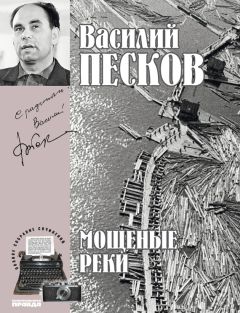Василий Песков - Полное собрание сочинений. Том 5. Мощеные реки - Читать 📖 Читать онлайн 👀 Читаемые книги читать онлайн бесплатно 🔥 booksread-online.com