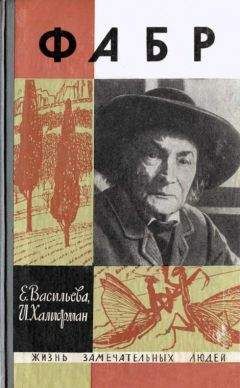 Евгения Васильева - Фабр - Читать | Читать онлайн | Читаемые книги читать онлайн бесплатно | booksread-online.com