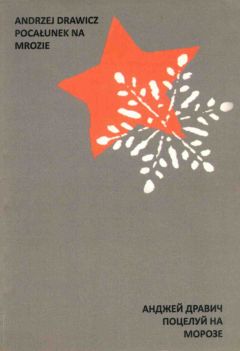 AНДЖЕЙ ДРАВИЧ - ПОЦЕЛУЙ НА МОРОЗЕ - Читать Читать онлайн Читаемые книги читать онлайн бесплатно booksread-online.com