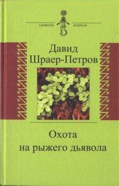 Давид Шраер-Петров - Охота на рыжего дьявола. Роман с микробиологами - Читать 📖 Читать онлайн 👀 Читаемые книги читать онлайн бесплатно 🔥 booksread-online.com