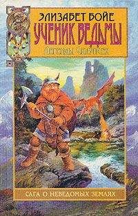 Элизабет Бойе - Ученик ведьмы - Читать 📖 Читать онлайн 👀 Читаемые книги читать онлайн бесплатно 🔥 booksread-online.com