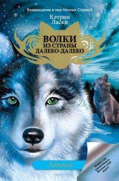 Кэтрин Ласки - Ледяной - Читать 📖 Читать онлайн 👀 Читаемые книги читать онлайн бесплатно 🔥 booksread-online.com