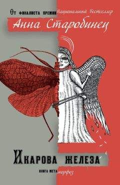 Анна Старобинец - Икарова железа (сборник) - Читать 📖 Читать онлайн 👀 Читаемые книги читать онлайн бесплатно 🔥 booksread-online.com