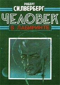 Роберт Силверберг - Человек в лабиринте - Читать 📖 Читать онлайн 👀 Читаемые книги читать онлайн бесплатно 🔥 booksread-online.com
