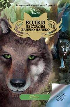 Кэтрин Ласки - Тень - Читать 📖 Читать онлайн 👀 Читаемые книги читать онлайн бесплатно 🔥 booksread-online.com