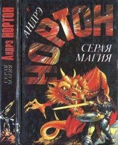 Андрэ Нортон - Серая магия. Колдовской мир. Паутина колдовского мира - Читать 📖 Читать онлайн 👀 Читаемые книги читать онлайн бесплатно 🔥 booksread-online.com