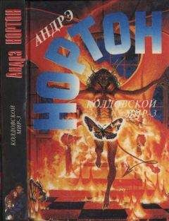 Андрэ Нортон - Колдовской мир - 3: Полет мести - Читать | Читать онлайн | Читаемые книги читать онлайн бесплатно | booksread-online.com