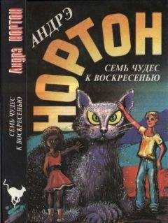 Андрэ Нортон - Семь чудес к воскресенью: Мир звёздных ко’отов. Семь чудес к воскресенью. Волшебный дом - Читать | Читать онлайн | Читаемые книги читать онлайн бесплатно | booksread-online.com