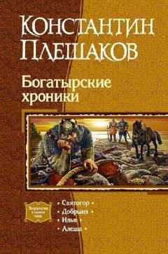 Константин Плешаков - Богатырские хроники. - Читать 📖 Читать онлайн 👀 Читаемые книги читать онлайн бесплатно 🔥 booksread-online.com