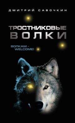 Дмитрий Савочкин - Тростниковые волки - Читать Читать онлайн Читаемые книги читать онлайн бесплатно booksread-online.com