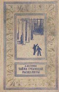 Александр Шалимов - Тайна Гремящей расщелины (сборник) - Читать 📖 Читать онлайн 👀 Читаемые книги читать онлайн бесплатно 🔥 booksread-online.com