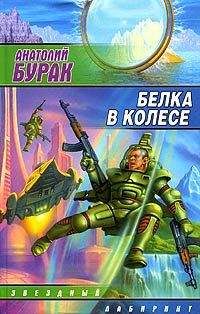 Анатолий Бурак - Белка в колесе - Читать 📖 Читать онлайн 👀 Читаемые книги читать онлайн бесплатно 🔥 booksread-online.com