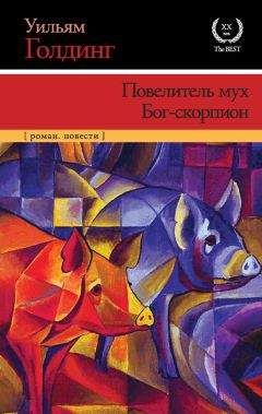 Уильям Голдинг - Повелитель мух. Бог-скорпион (сборник) - Читать | Читать онлайн | Читаемые книги читать онлайн бесплатно | booksread-online.com