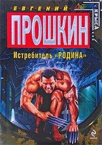 Евгений Прошкин - Истребитель Родина - Читать 📖 Читать онлайн 👀 Читаемые книги читать онлайн бесплатно 🔥 booksread-online.com