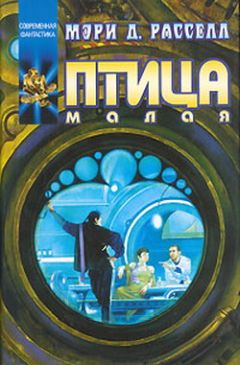 Мэри Расселл - Птица малая - Читать Читать онлайн Читаемые книги читать онлайн бесплатно booksread-online.com