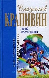 Владислав Крапивин - Синий треугольник - Читать | Читать онлайн | Читаемые книги читать онлайн бесплатно | booksread-online.com
