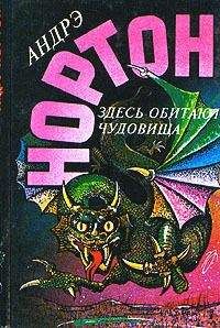 Андрэ Нортон - Глазом чудовища - Читать 📖 Читать онлайн 👀 Читаемые книги читать онлайн бесплатно 🔥 booksread-online.com