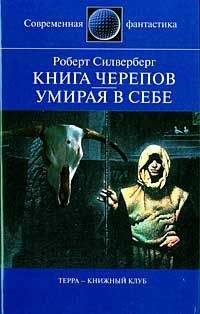 Роберт Силверберг - Книга Черепов - Читать 📖 Читать онлайн 👀 Читаемые книги читать онлайн бесплатно 🔥 booksread-online.com