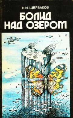 Владимир Щербаков - Болид над озером - Читать 📖 Читать онлайн 👀 Читаемые книги читать онлайн бесплатно 🔥 booksread-online.com